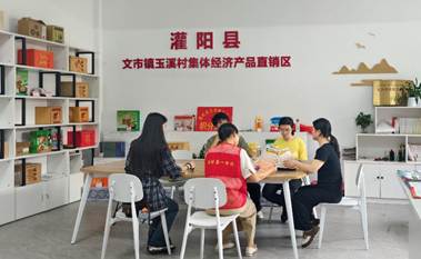 图为实践团实践团成员与驻村第一书记罗丽群商讨宣讲策略